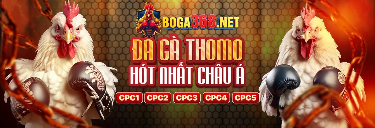 Hình ảnh hỗ trợ khách hàng của 555win