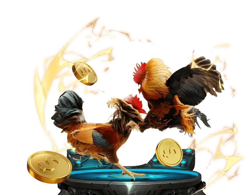 Cá cược thể thao 555win